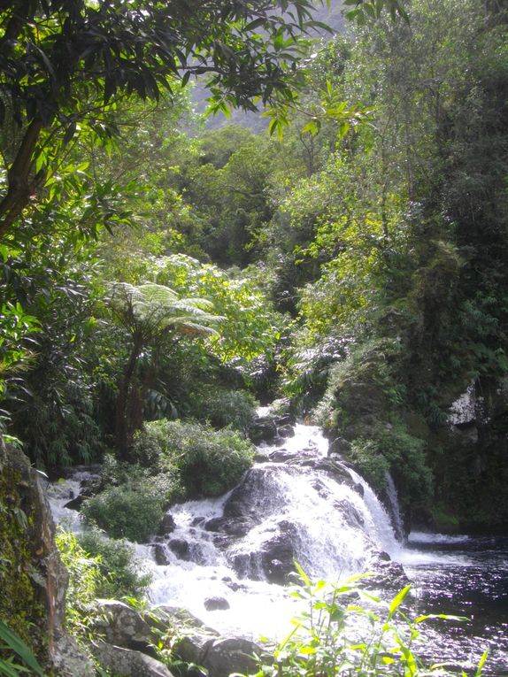 Album - La Réunion - Les Randos