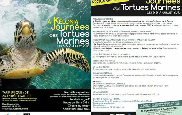 Ce week-end : grand marché bio, journées des tortues marines, brocante & artisans/créateurs péi !
