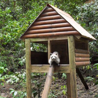 Parc zoologique et botanique des Mammelles