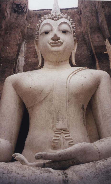 Album - Photos  : Buddhas Collector