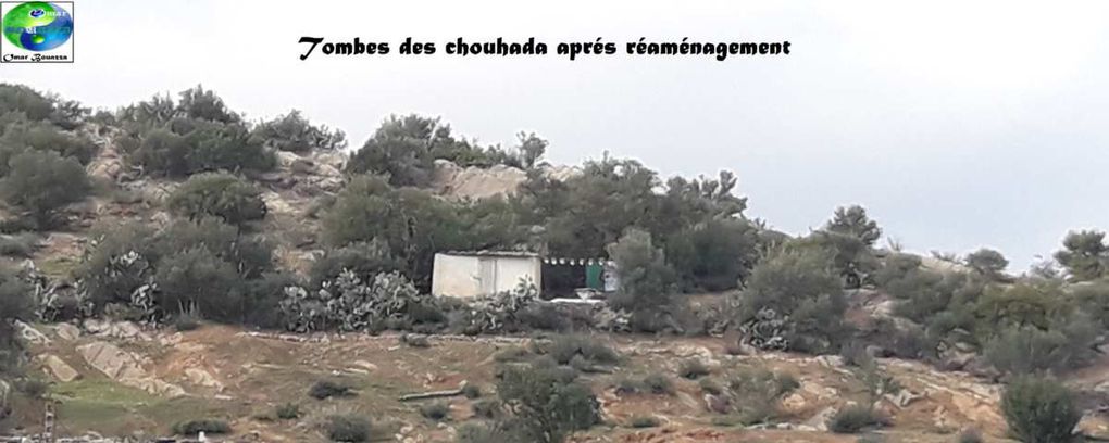Hommages rendus aux Chouhada inconnus  tombés en Martyrs à Ath Saidh -, par Omar Bouazza