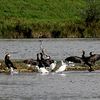 Découverte du partimoine naturel avec Chaumont au fil du temps