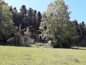 Face à la maison abandonnée puis aux montbéliardes