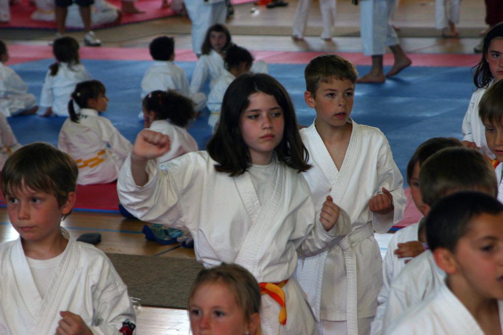 Stage de Karaté réservé aux jeunes le 30 mai 2009 à Angers