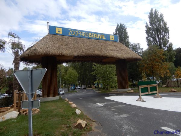 Zoo de Beauval en camping-car (Voyages en camping-car)