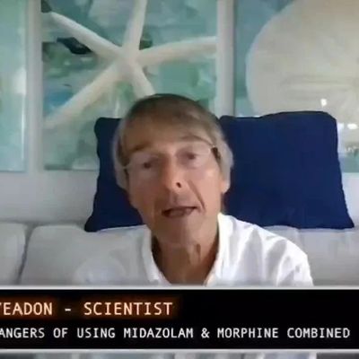 Mike Yeadon : les morts des injections covid