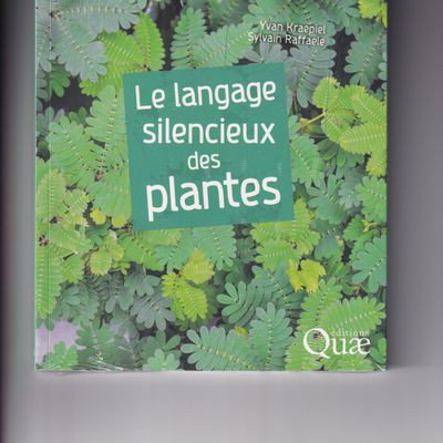 Le langage silencieux des plantes