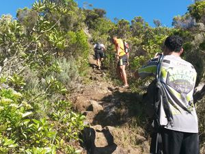 Sentier Bayonne, Entre Deux, Ile de la Réunion