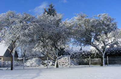 L'hiver est là, je tricote !!