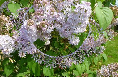 collier lilas, couleur de l'été