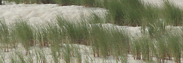 Nouvelle plage de Dunkerque