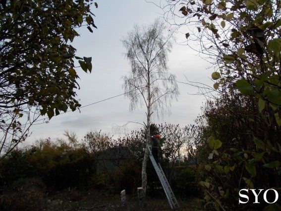 Gros travaux d'automne au Jardin de Fille