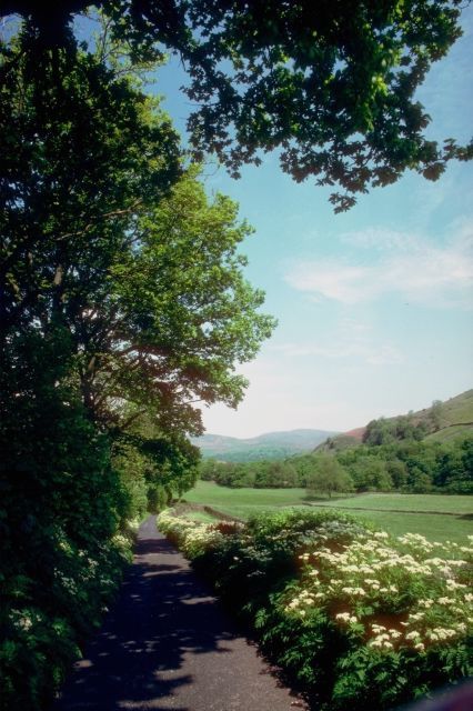 Album - merveillese-nature &quot;ANGLETERRE&quot;