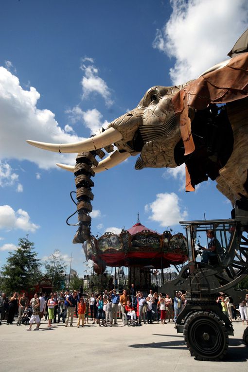 Eléphant de l'Ile de Nantes Royal de Luxe - Photos Thierry Weber Photographe La Baule Guérande