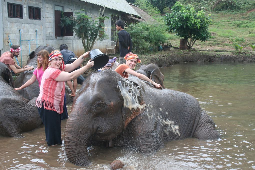 Depart pour le Nord Thailande.
Escale "obligee" a Chiang Mai. Visie de temples, nombreux dans la vieille ville. Training d'elephants.- Pai reggae fest