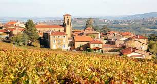 #White Beaujolais        Producers France