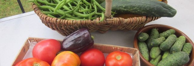 Retour du marché de producteurs...