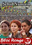 Du Kurdistan à Paris l'impérialisme assassine !