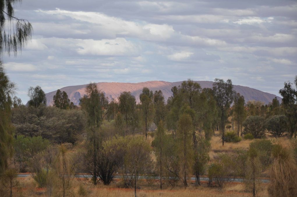 Album - Route vers Kings Canyon et Kings Canyon