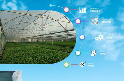 Benefits of Greenhouse Production