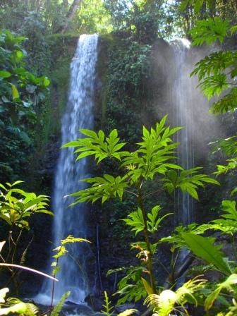 On sera vos yeux et vos oreilles pendant nos dix semaines dans les Southern Highlands pour vous faire decouvrir les splendeurs du Lac Kutubu: ses peuples, ses traditions, sa nature et ses eaux.