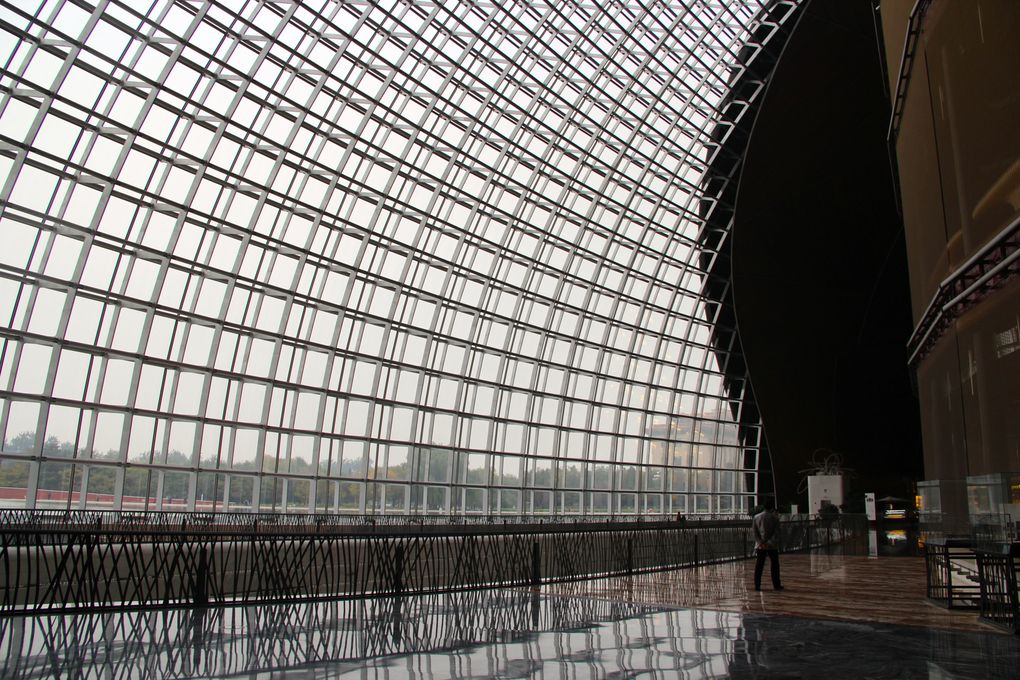 Centre National des Arts et du Spectacle, "La Verrue", Pékin 