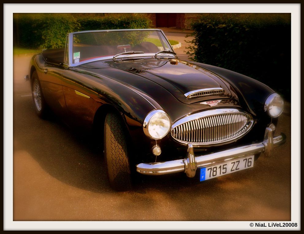 Rencontre de deux Austin Healey à Saint Martin de Boscherville