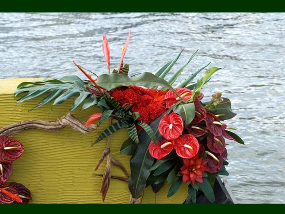 Hollande - Marché flottant - 1