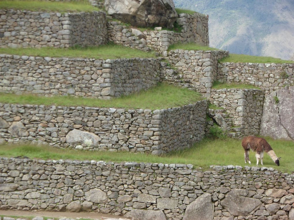 Album - Machu-Picchu