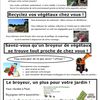 Le recyclage des végétaux chez soi, c'est possible !