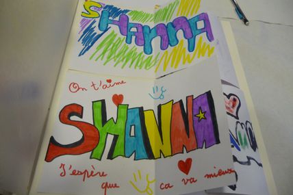 LE LIVRE DE SHANNA