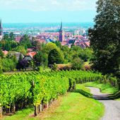 VVF Plaine d'Alsace Obernai Strasbourg | Informations village