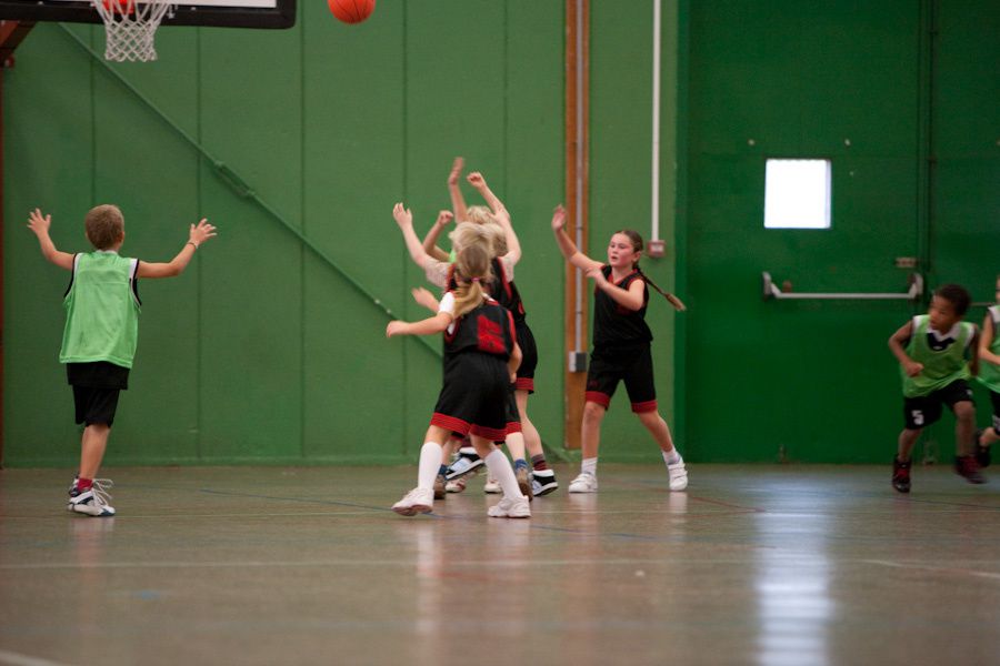 Diverses photos de l'équipe des mini-poussins de la saison 2009-2010