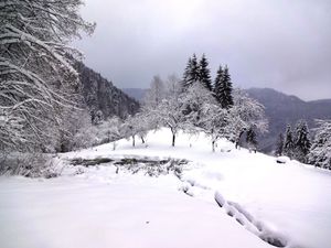 L'heure du déjeuner approche. Le repas est pris dans un petit abri au milieu du paysage enneigé. C'est le partage de soupes, fromages, petits gâteaux, cakes, chocolats ...