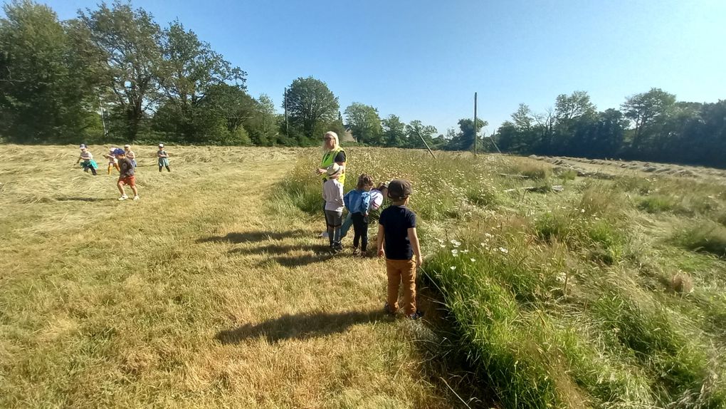 L'école du dehors en maternelle