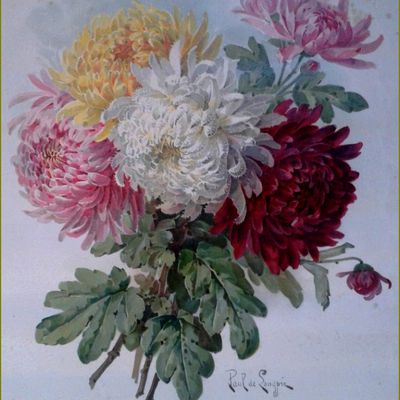 Les fleurs par les grands peintres -  Paul de Longpré (1855-1911) - chrysanthèmes 