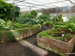 Les serres des jardins suspendus du Havre