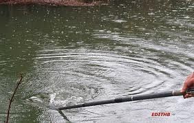 Ouverture de la pêche Aveyron/Lot
