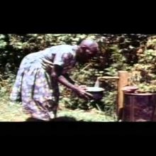 WANGARI MAATHAI : Taking roots - Une vie pour les arbres