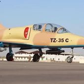 Au Mali les "avions de chasse" L-39 Albatros volent-ils vraiment ? - avionslegendaires.net