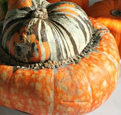 C'est quoi cette chose ?