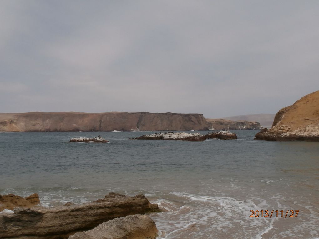 paracas-ballestas-huacachani-arequipa