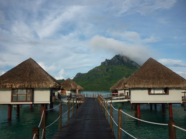 Album - 14.Polynesie-Francaise--iles-de-la-Societe