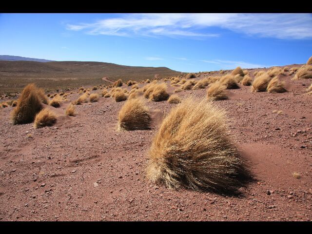 Album - TRIP-4-4-TUPIZA-UYUNI