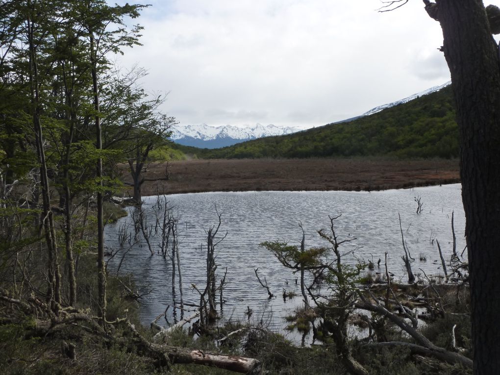 Album - Tierra-del-Fuego