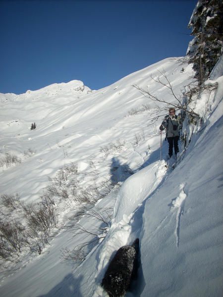 Mes sorties hivers 2006 à 2008 et 2009