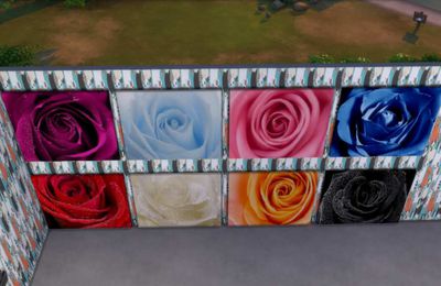 Tableaux zoom sur les roses