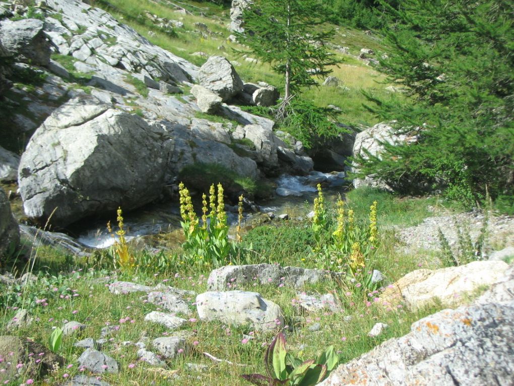 Les Ecrins, Le Queyras et le Mercantour (dans le désordre...): la nature dans toute sa splendeur.