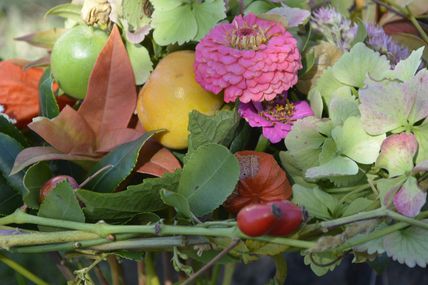 fleurs, fruits et feuilles colorés au coeur de l' AUTOMNE
