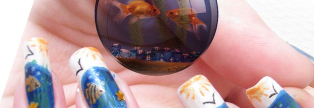 Coucours "Comme un poisson dans l'eau"